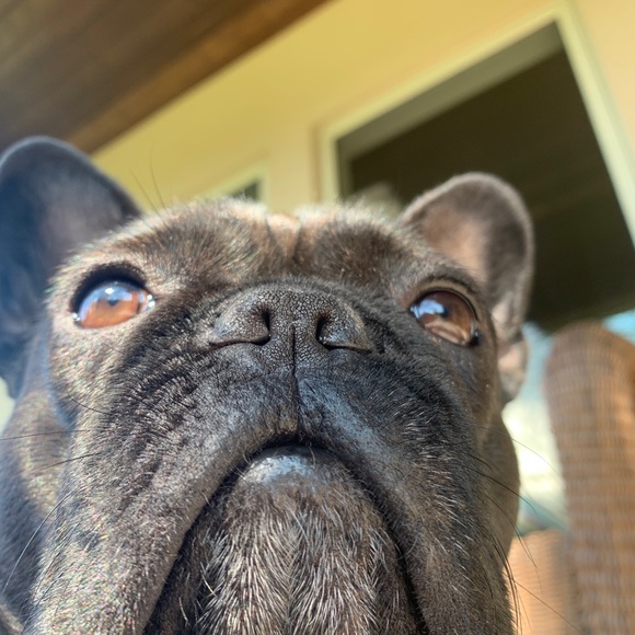 ❤️Welcome! I’m Matilda!!❤️ - Picture 6 of 12